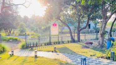 Spot17: Blossom